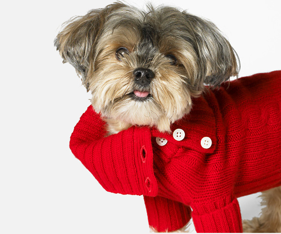 Cabled Cashmere Turtleneck Cabled Cashmere Turtleneck
