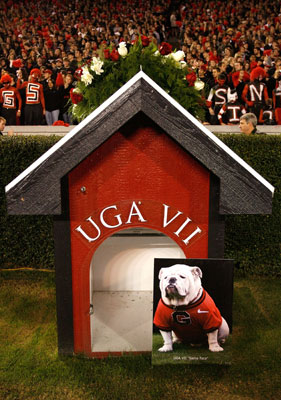 What's Your Take: Is It Mean to Have Live Dog Mascots?