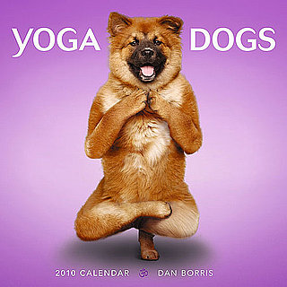 Sneak Peek: Yoga Dogs