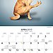 April — Firefly Pose