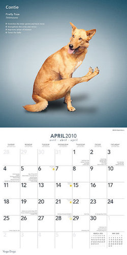 April — Firefly Pose April — Firefly Pose