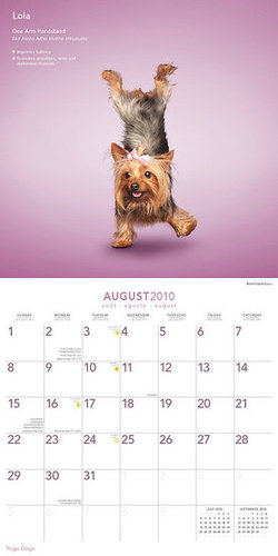 August — One Arm Handstand August — One Arm Handstand