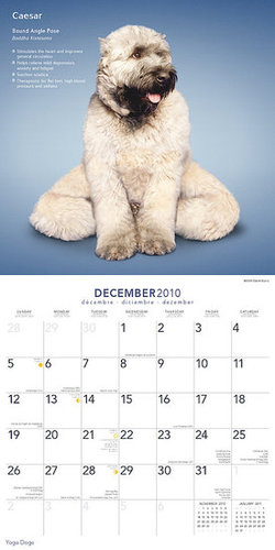 December — Bound Angle Pose December — Bound Angle Pose