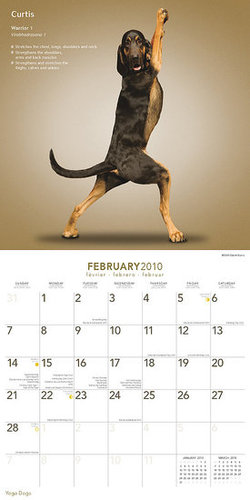 February — Warrior I February — Warrior I