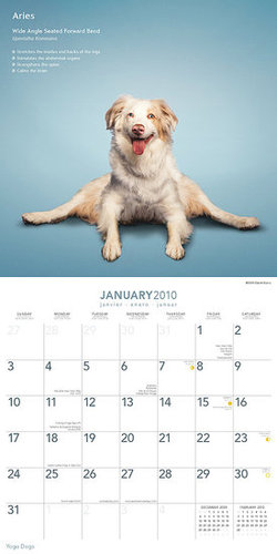 January — Wide Angle Seated Forward Bend January — Wide Angle Seated Forward Bend