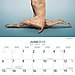 June — Monkey Pose