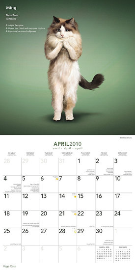 April — Mountain Pose