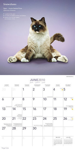 June — Open-Angle Seated Pose June — Open-Angle Seated Pose