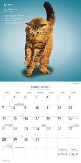 March — Bound Angle Pose