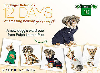 Wanna Win a Ralph Lauren Pup Wardrobe?: In the LINK of an Eye