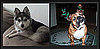 Pick the Cuter Pet For a Chance to Win $1,000!