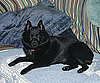 Pet Pic of the Day: Petina the Perfect
