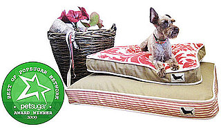The Results Are In: Favorite Pet Designer