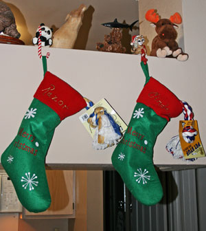 Do Your Pets Have Stockings, Too?