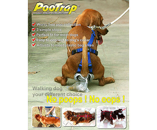 PooTrap PooTrap