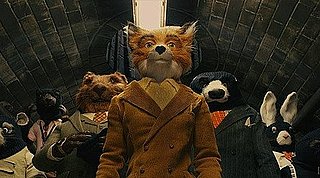 Review of Wes Anderson's Fantastic Mr. Fox