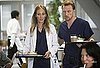 Recap and Review of Grey's Anatomy Episode "New History" 2009-11-13 10:03:32