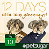 Win a New Doggie Wardrobe From Ralph Lauren!