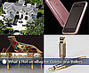 What's Hot on the eBay For Celebs and Ballers