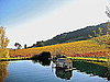Cool Capture: Sonoma in Fall