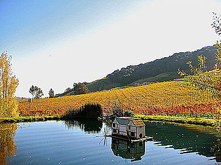 Cool Capture: Sonoma in Fall