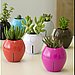 A Touch of Greenery 