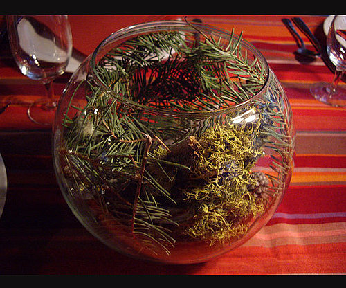 Take a Nature Walk and Make Centerpieces With Your Finds Take a Nature Walk and Make Centerpieces With Your Finds