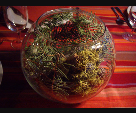 Take a Nature Walk and Make Centerpieces With Your Finds