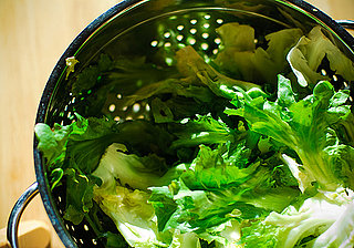 The Basics of Escarole