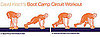Get Moving: Workouts to Print Out 