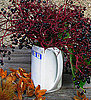 Share Your Thanksgiving Vignettes!