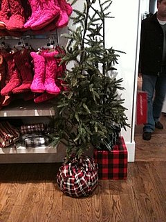 Casa Quickie: Wrap It Up