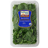 Fast & Easy Recipe for Chicken and Spinach Quesadillas 2009-12-18 13:52:08