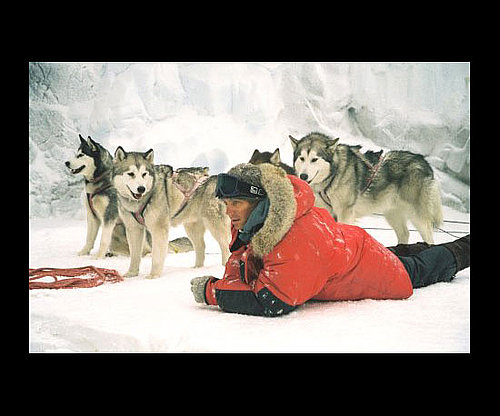 Eight Below (2006) Eight Below (2006)