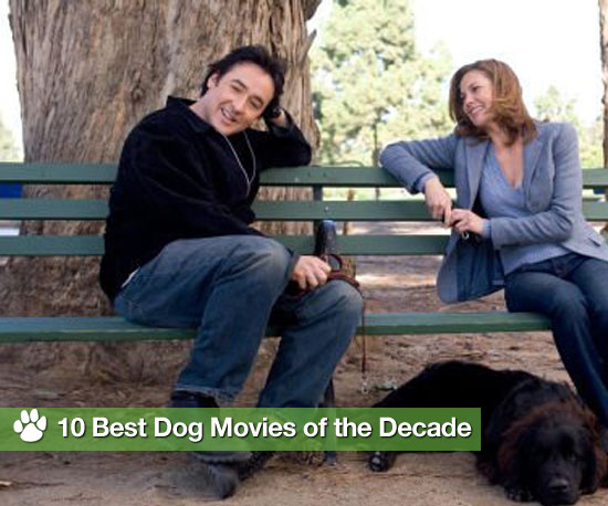 Best Dog Movies of the Decade Best Dog Movies of the Decade