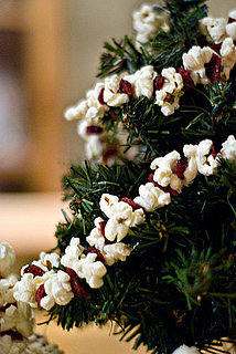Have You Ever Made a Popcorn Garland?