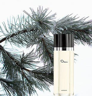 What Fragrances Remind You of the Holidays? 