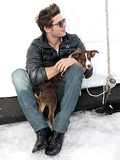 Photos of Zac Efron Playing With Dogs in the Snow in Colorado