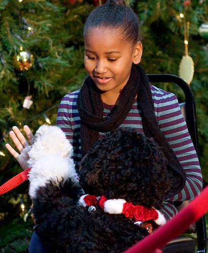 Bo's Holiday Included Snow and Storytime! Bo's Holiday Included Snow and Storytime!