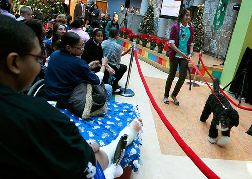 Bo's Holiday Included Snow and Storytime! Bo's Holiday Included Snow and Storytime!