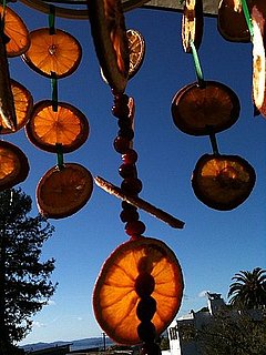 The 11th DIY of Christmas: A Chandelier For the Birds