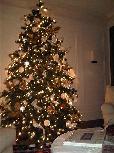 Guess Whose Christmas Tree This Is?
