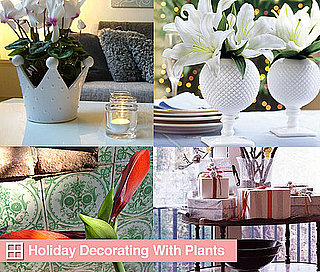 Holiday Decorating With Plants and Flowers