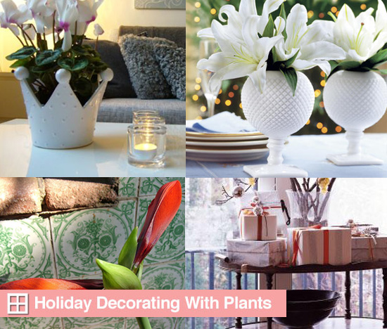 Holiday Decorating With Plants and Flowers