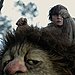 Where the Wild Things Are