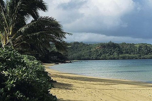 Plan a Vacation Plan a Vacation