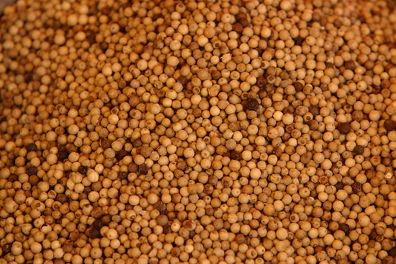 Burning Question: Why Does White Pepper Smell Unpleasant? Burning Question: Why Does White Pepper Smell Unpleasant?