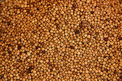 Burning Question: Why Does White Pepper Smell Unpleasant?