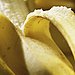 Bananas