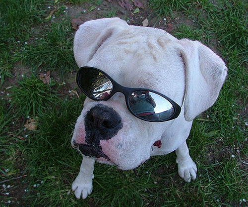 What's Up, Dude? What's Up, Dude?